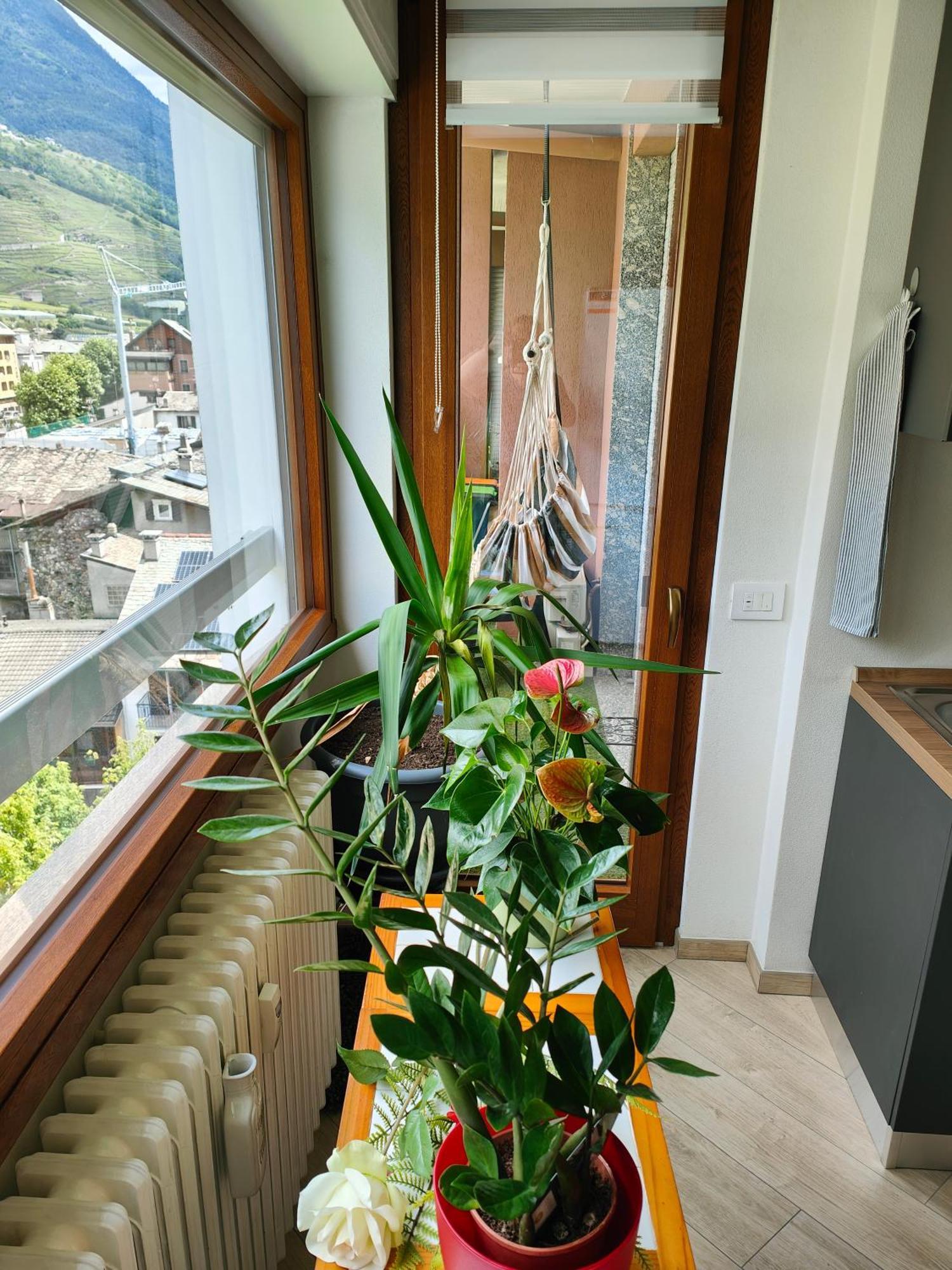 Alfiumea Apartamento Tirano Exterior foto