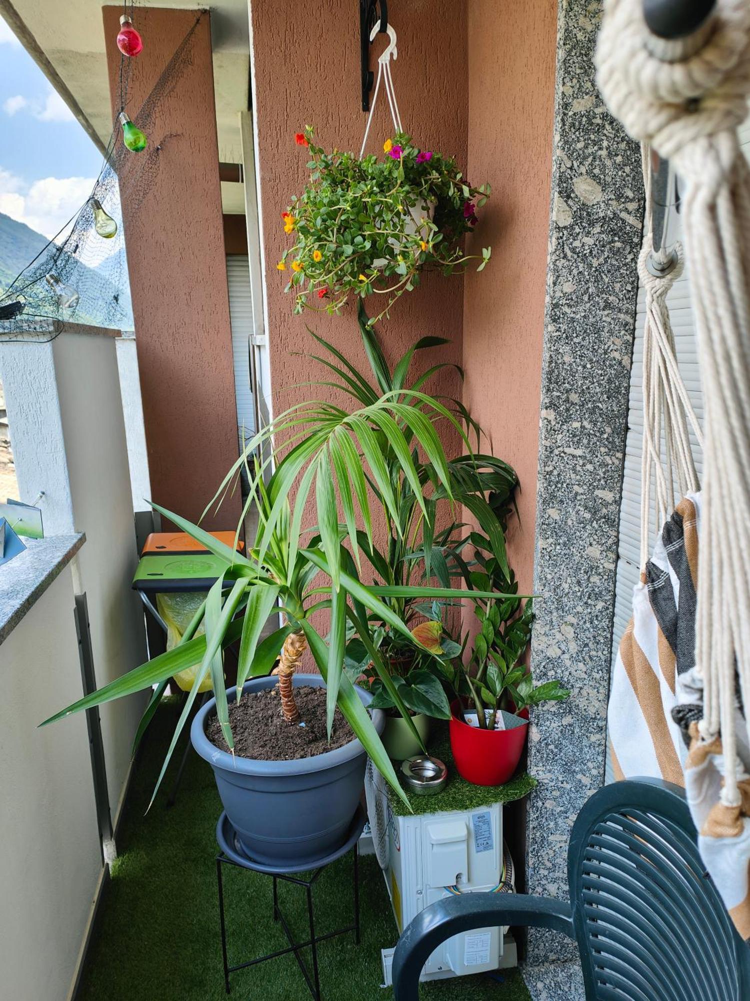 Alfiumea Apartamento Tirano Exterior foto